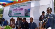 কান্দিগাওয়ে বারি হাইব্রিড বেগুন-৪ এর মাঠ দিবস অনুষ্ঠিত