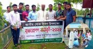 শোক দিবস উপলক্ষ্যে গোয়াইনঘাট ছাত্র পরিষদের বৃক্ষরোপণ